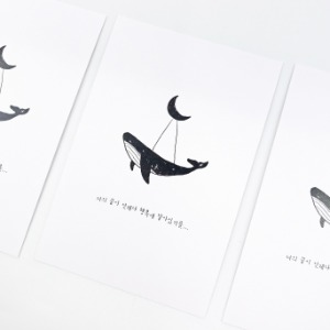 Sperm Whale Postcards (Using whale special letter paper mini poster interior)