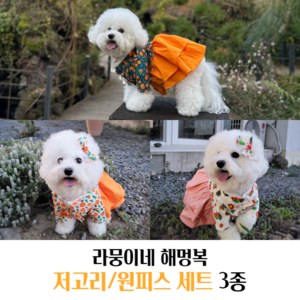 Lamoon&#039;s Haemungbok dog jeogori, dress set of 3
