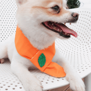 Dodo&#039;s pet tangerine dress (summer/winter scarf scarf)