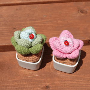 Interior accessories Succulent Knitting Pot (Green/Pink)