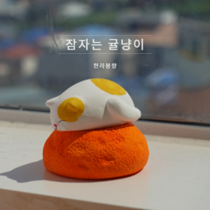 Sleeping Jeju tangerine cat plaster fragrance.