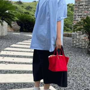 Two Way Whale Lining Red Square Bag